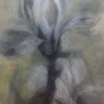 Yeşile Özlem/130-140 cm TÜA 2022