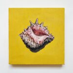 sarı bir arka plan üzerinde bir deniz kabuğu